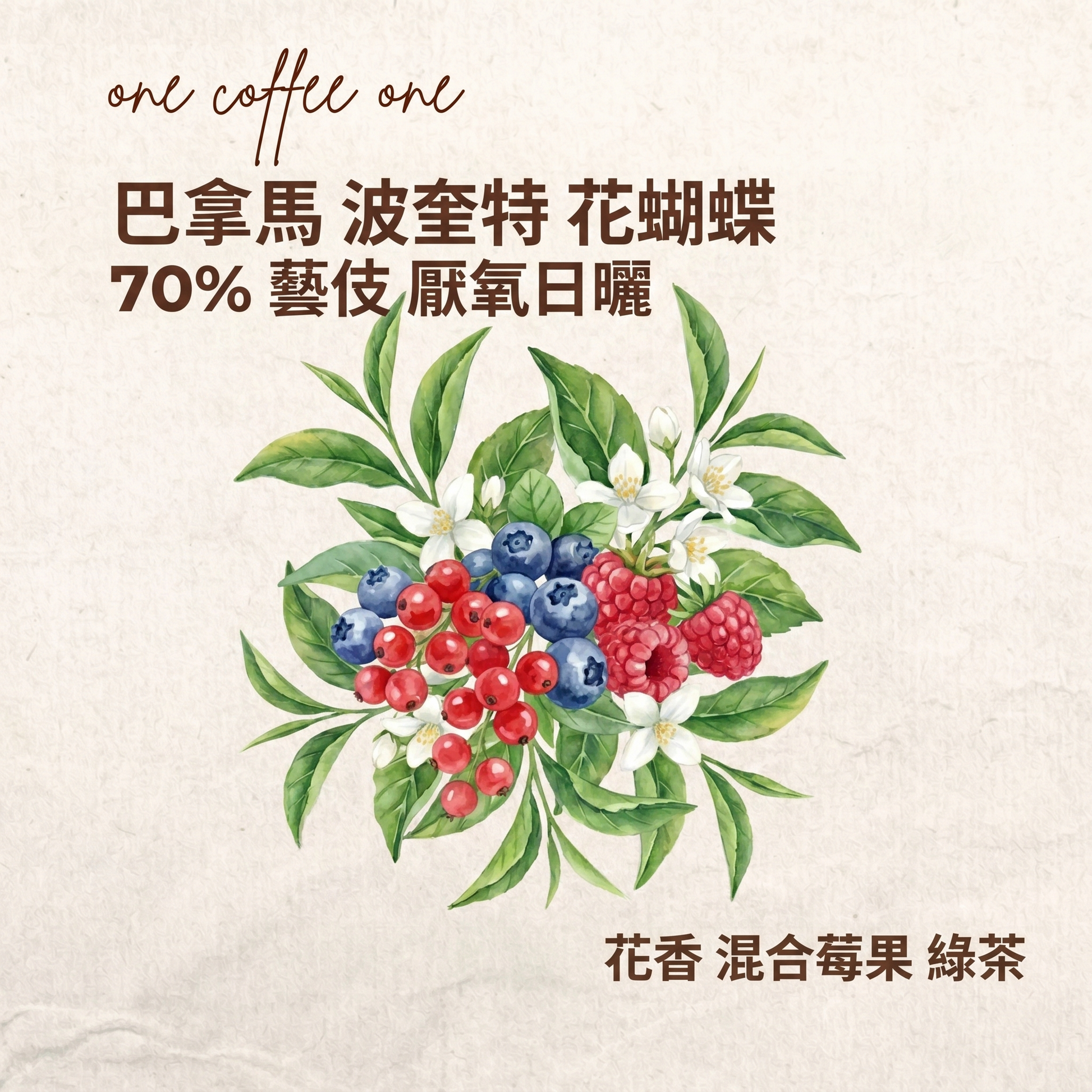 巴拿馬 波奎特 花蝴蝶 70% 藝伎 翡翠莊園的平替/高性價比之選