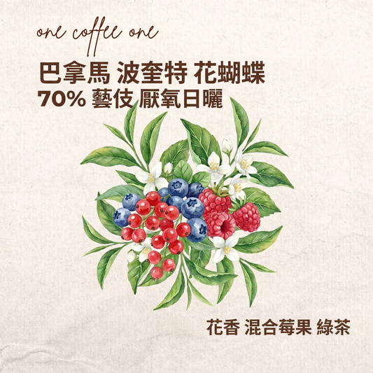 巴拿馬 波奎特 花蝴蝶 70% 藝伎 翡翠莊園的平替/高性價比之選