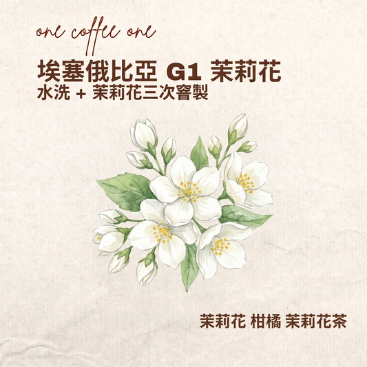 埃塞俄比亞 G1 茉莉花. 水洗 + 茉莉花三次窨製 茉莉花 柑橘 茉莉花茶