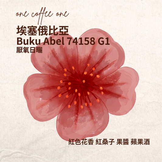 埃塞俄比亞 AFCA TOH(非洲精品咖啡協會收穫季大賽)第二名 BUKU ABEL 74158 厭氧日曬 G1