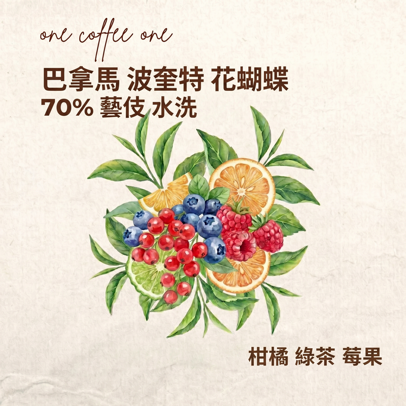 巴拿馬 波奎特 花蝴蝶 70% 藝伎 水洗 （翡翠莊園的平替/高性價比之選 ）