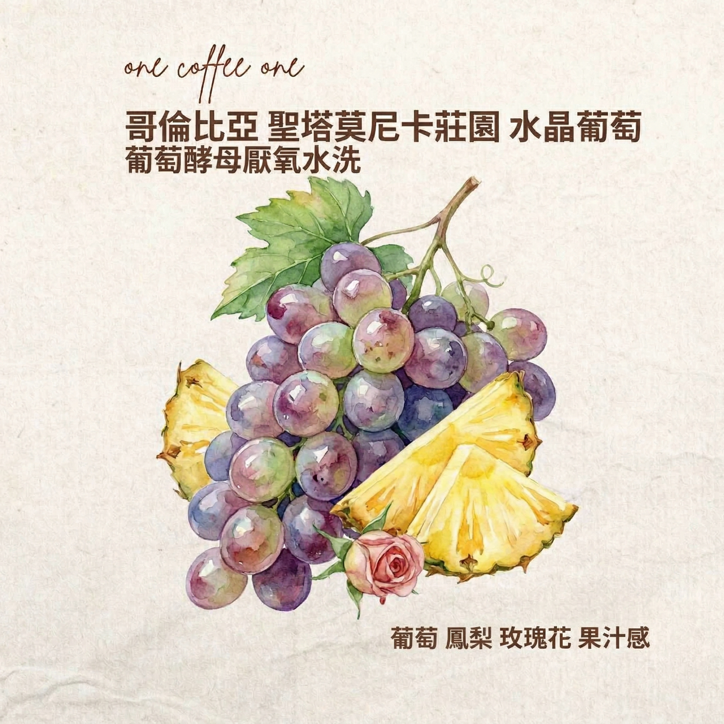 哥倫比亞 聖塔莫尼卡莊園 水晶葡萄 葡萄酵母厭氧水洗