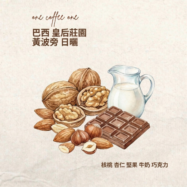 巴西 皇后莊園 黃波旁
