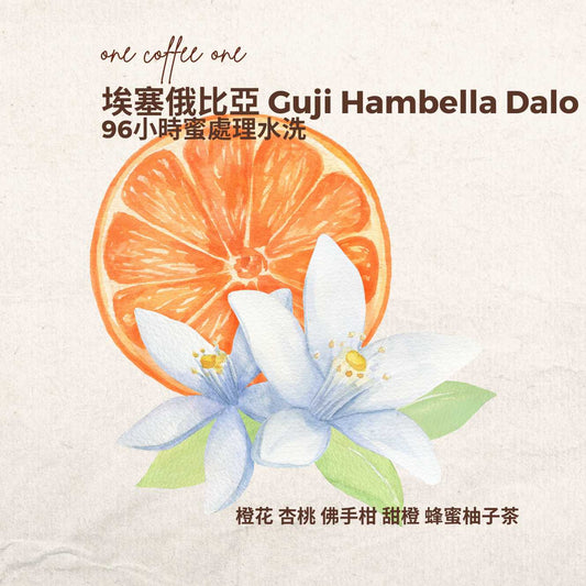 埃塞俄比亞 Guji Hambella Dalo