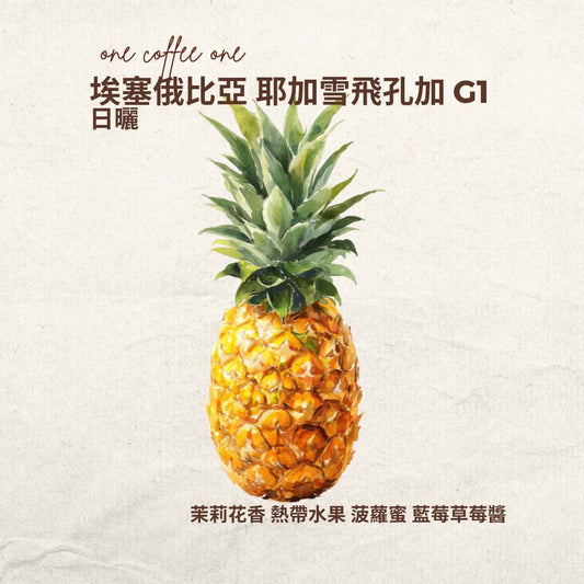 埃塞俄比亞 耶加雪菲孔加合作社 日曬 G1