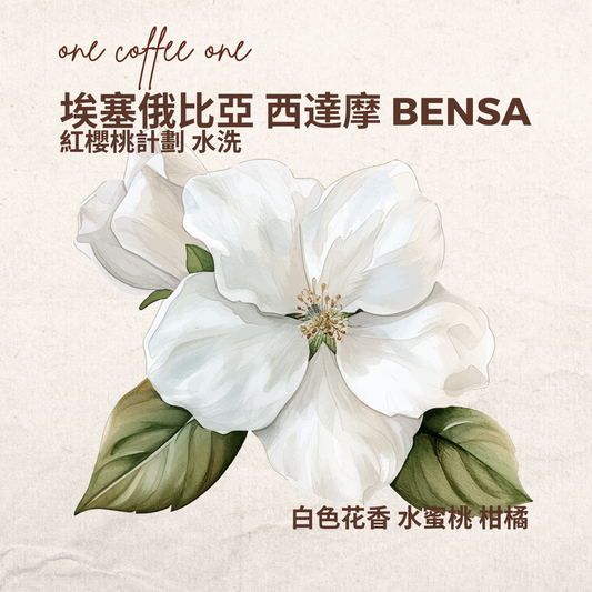 埃塞俄比亞 西達摩 BENSA 紅櫻桃計劃 水洗