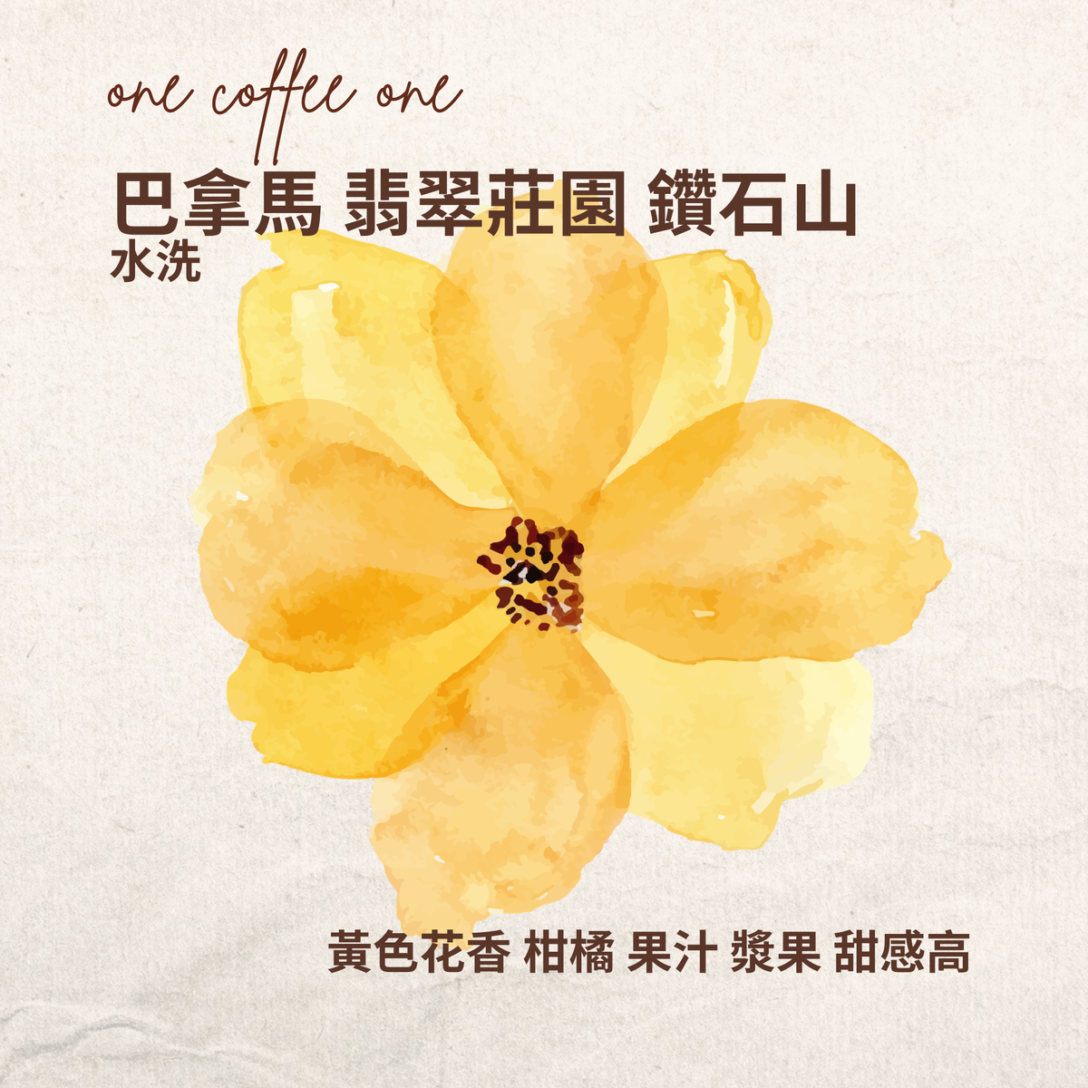 巴拿馬翡翠莊園鑽石山水洗咖啡豆 ONE COFFEE ONE