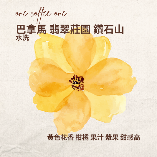 巴拿馬翡翠莊園鑽石山水洗咖啡豆 ONE COFFEE ONE