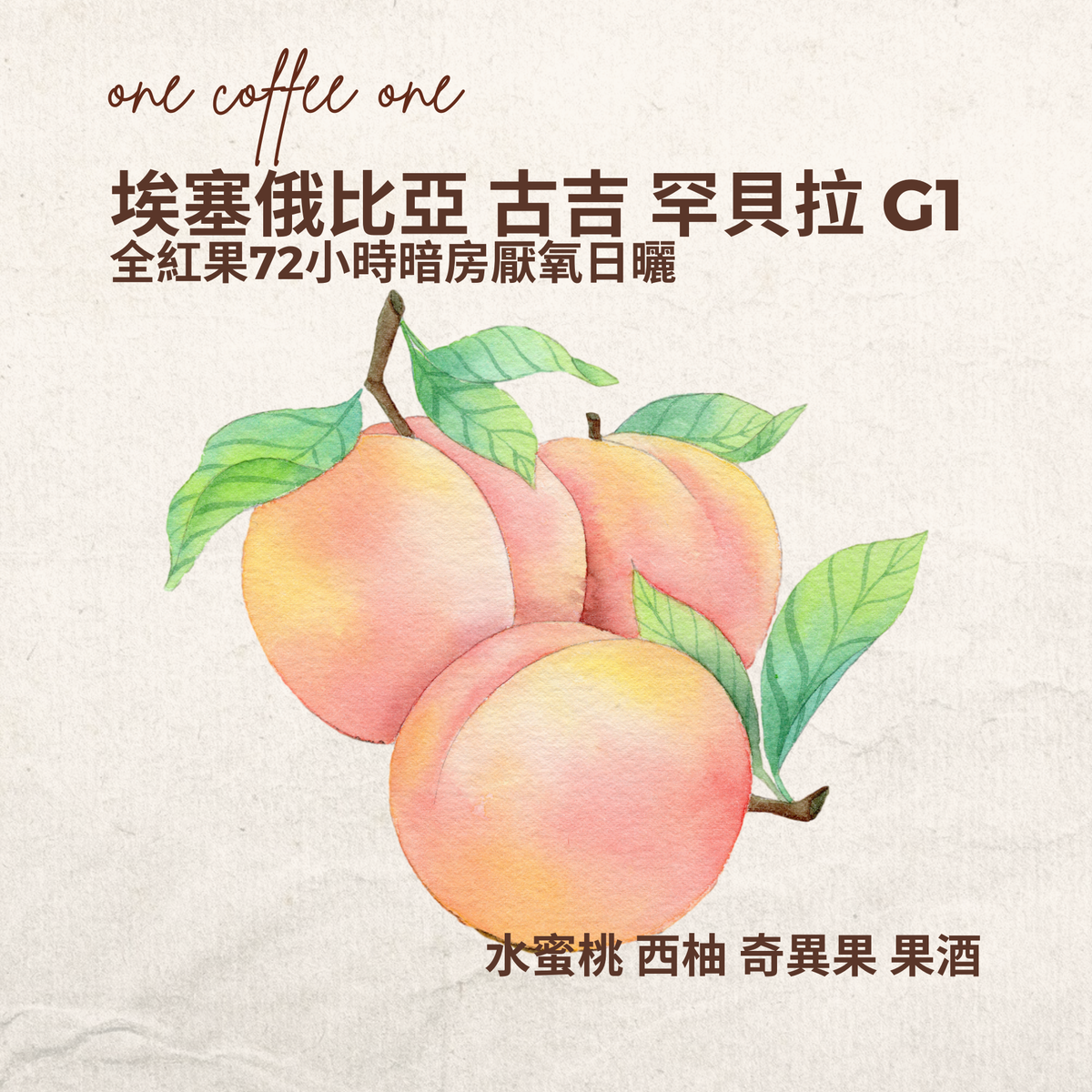 埃塞俄比亞 古吉 罕貝拉 G1 74158 全紅果72小時暗房厭氧日曬
