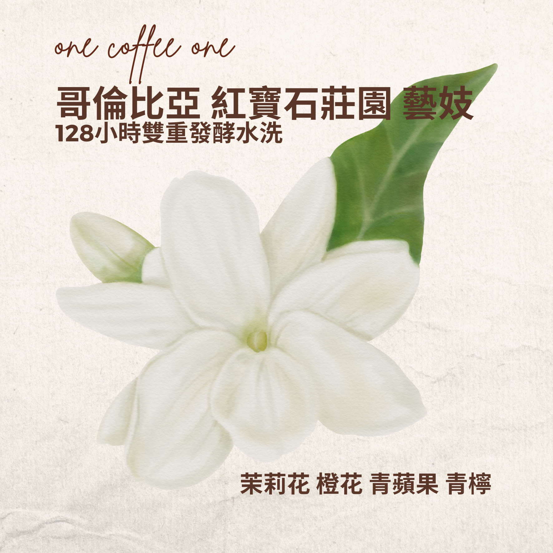 哥倫比亞 紅寶石莊園 128小時雙重發酵水洗 藝妓