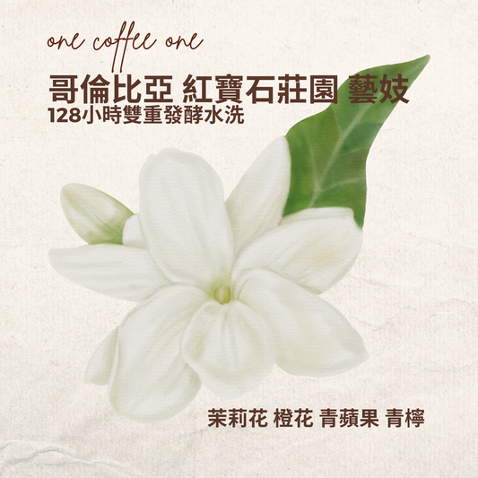 哥倫比亞 紅寶石莊園 128小時雙重發酵水洗 藝妓