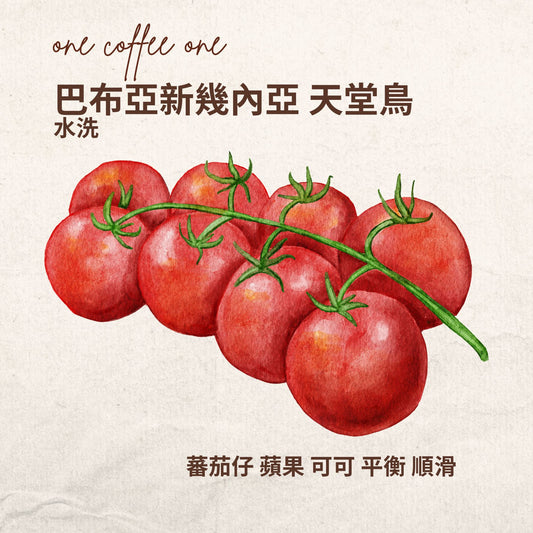 巴布亞新幾內亞 天堂鳥