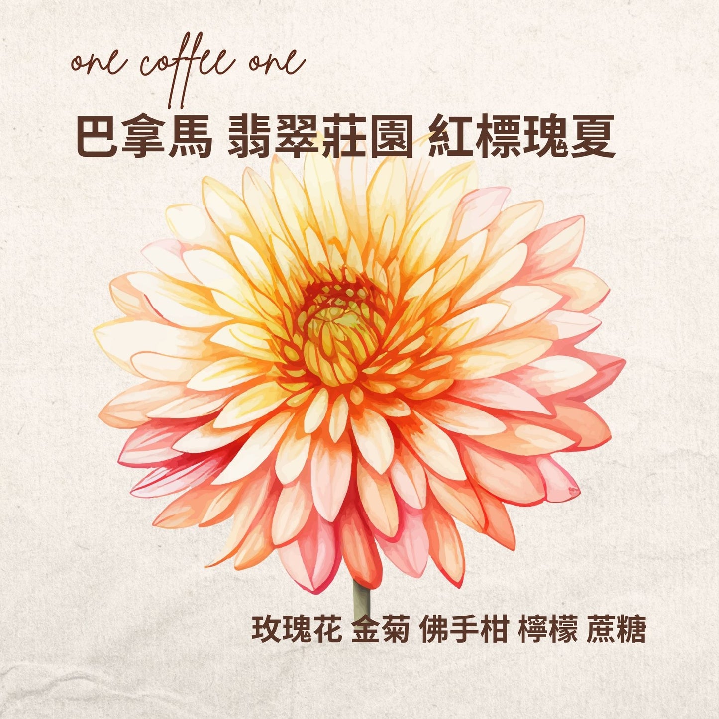 巴拿馬 翡翠莊園 紅標 藝伎