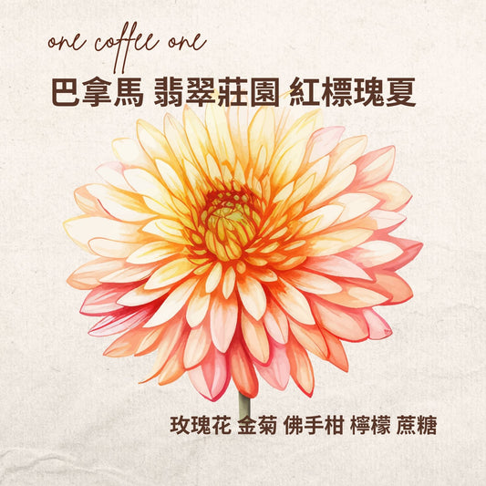 巴拿馬 翡翠莊園 紅標 藝伎
