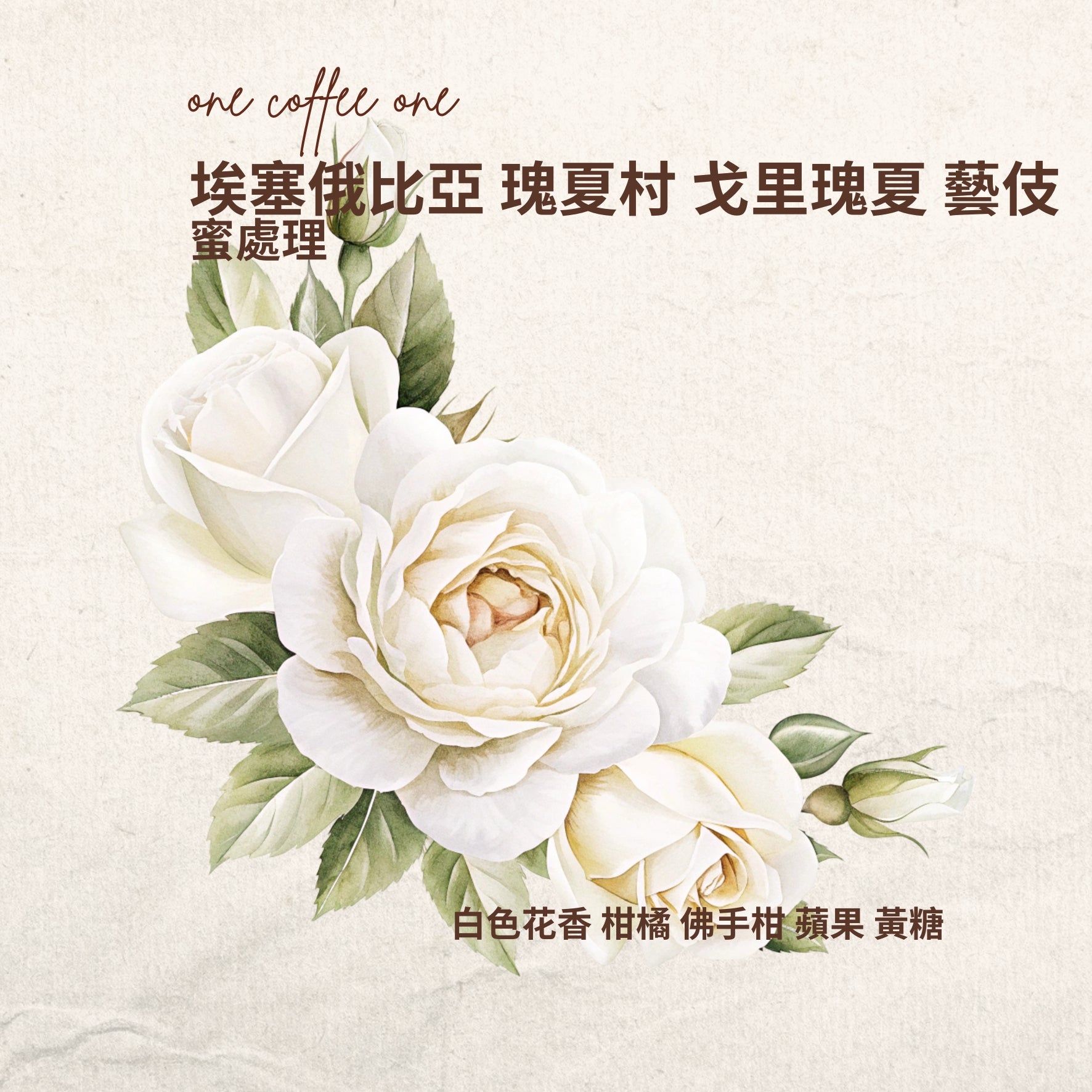 埃塞俄比亞-玫夏村-戈里玫夏-藝伎-蜜處理