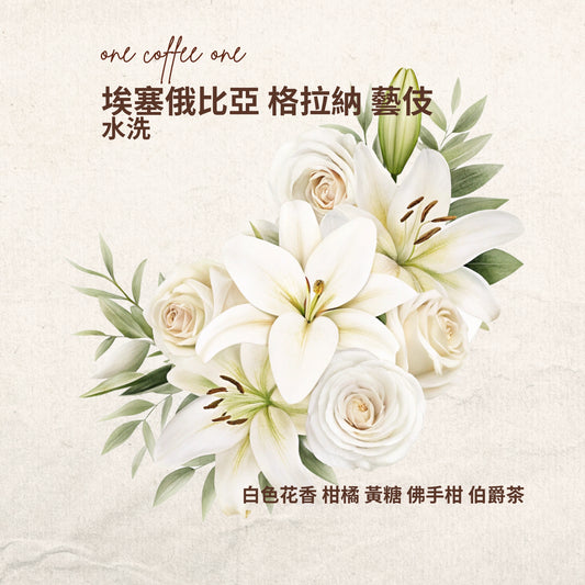 埃塞俄比亞-格拉納-藝伎-精品咖啡豆-one-coffee-one